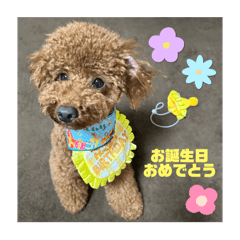 Kana_20250206125319