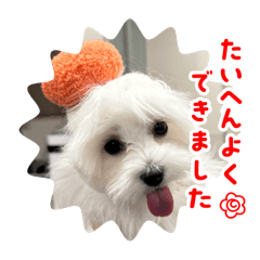 yasu_20250206125258