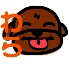 デカトイプードルおらち。