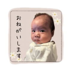 Hayato_20250206004344