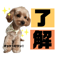 wakana_20250206175154