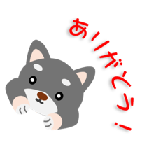 Sachi_20250206105143
