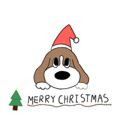 Chompoo_20250205145917