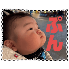 koto_20250206150745