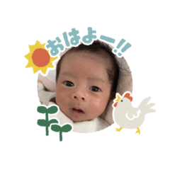 hina_20250206155235