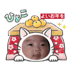 aym_20250206164247