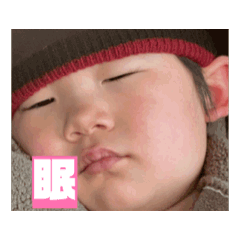 L_20250206210119
