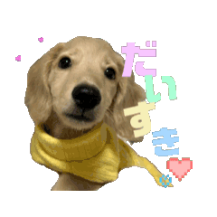 yuna_20250206195725