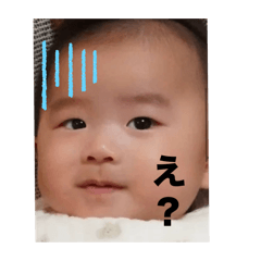 momo_20250206163005
