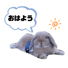 Ayaka_20250206164319