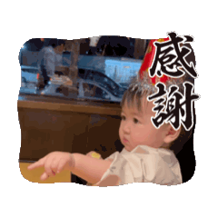 nao_202502nao