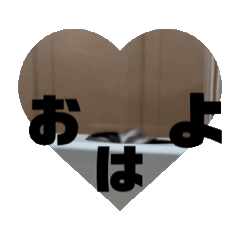 muchi_20250206223225