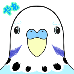 [bulu] Softly Empathetic Budgerigar 3