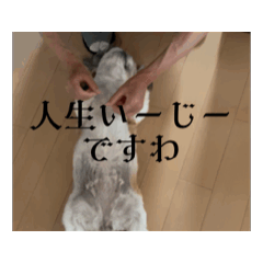 RARASHAN