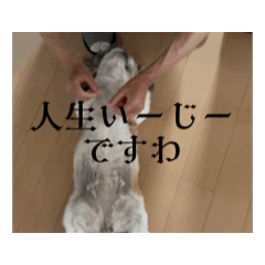 RARASHAN