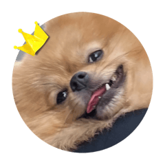 Lu屁