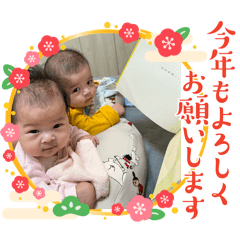 硯硯杉杉五個月日常 – LINE貼圖 | LINE STORE