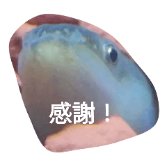 gg_20250206191932