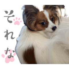 Rina_20250206170714