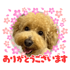 moka_moka. .