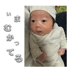 IKU_20250206185452