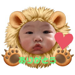 kazekun
