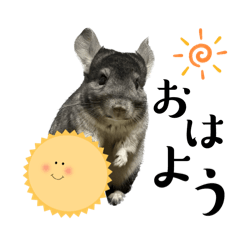 muchi_20250206195307