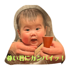 Ponzu_20250206194527