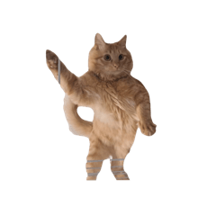 hi_20250206171648