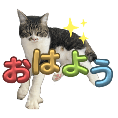 Aoi_20250206200205