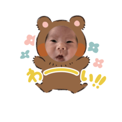 Kinako_20250206213204