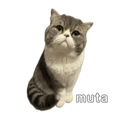 amane_20250206203118 – LINE stickers | LINE STORE