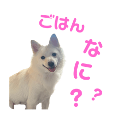 kanae_20250206203542