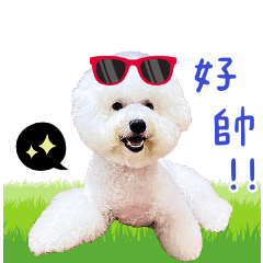 Q比的專屬貼貼