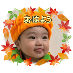 kahko_20250206214543