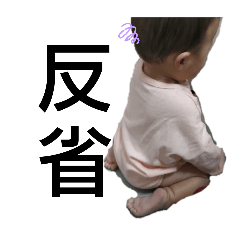 ami_20250206224931