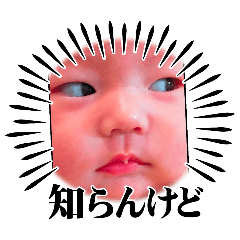 Suzu_20250206233545