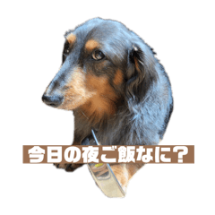 yuuki_20250206235426