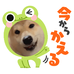 masa_20250206184230