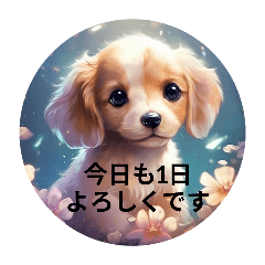 mimi_20250206213225