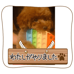 ASUKA_20250207085256