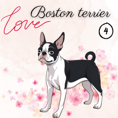 For Boston Terrier Fans Japanese Ver.4