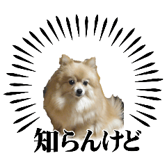 teru_20250206220109