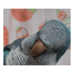 動動麻糬