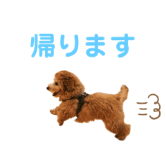 aya_20250207123806