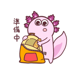 hachi_20250207142752