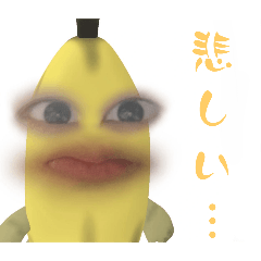 TERU_20250207004658