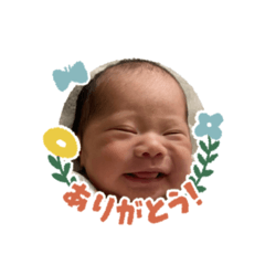 mai_20250207131045