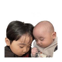 keiju_zen20250207034521