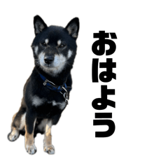 kana_20250207115121